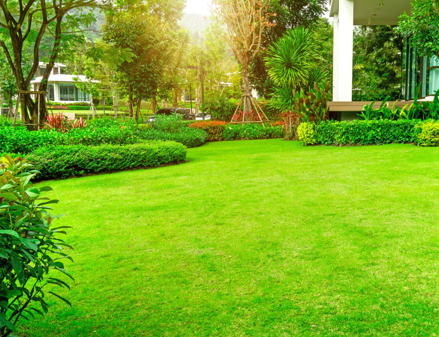 lawn maintain cape coral fl